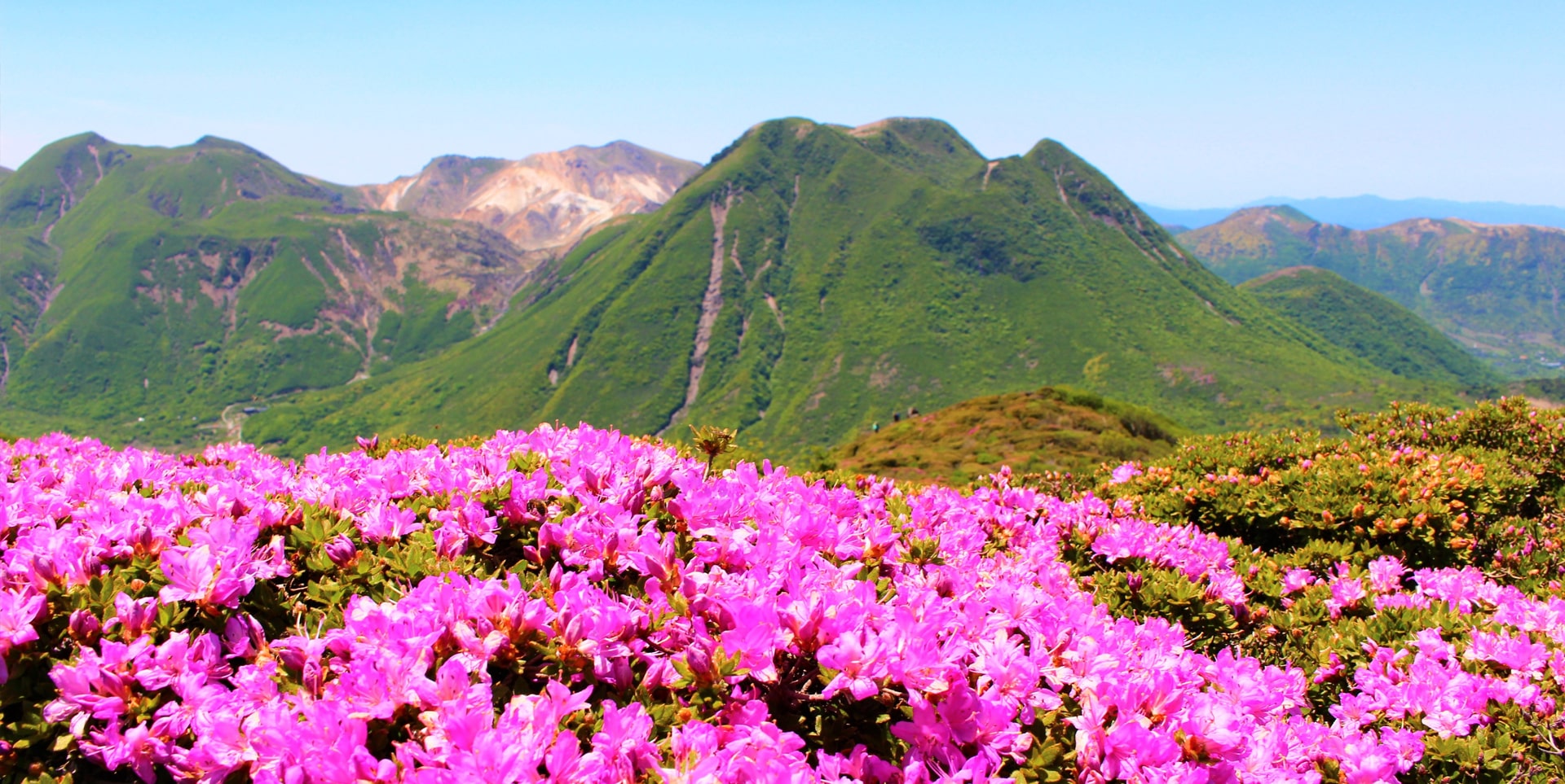 大分県のアパレル求人・派遣・転職情報  スタッフブリッジ