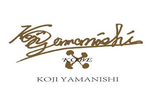 koji yamanishi