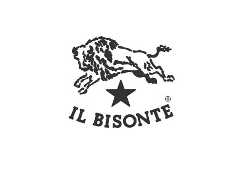 IL BISONTE