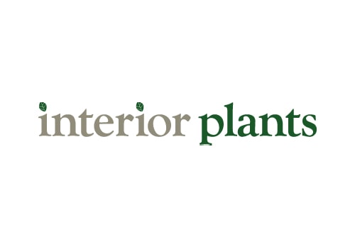 interior plants
