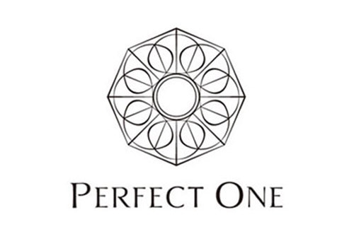 PERFECT ONE